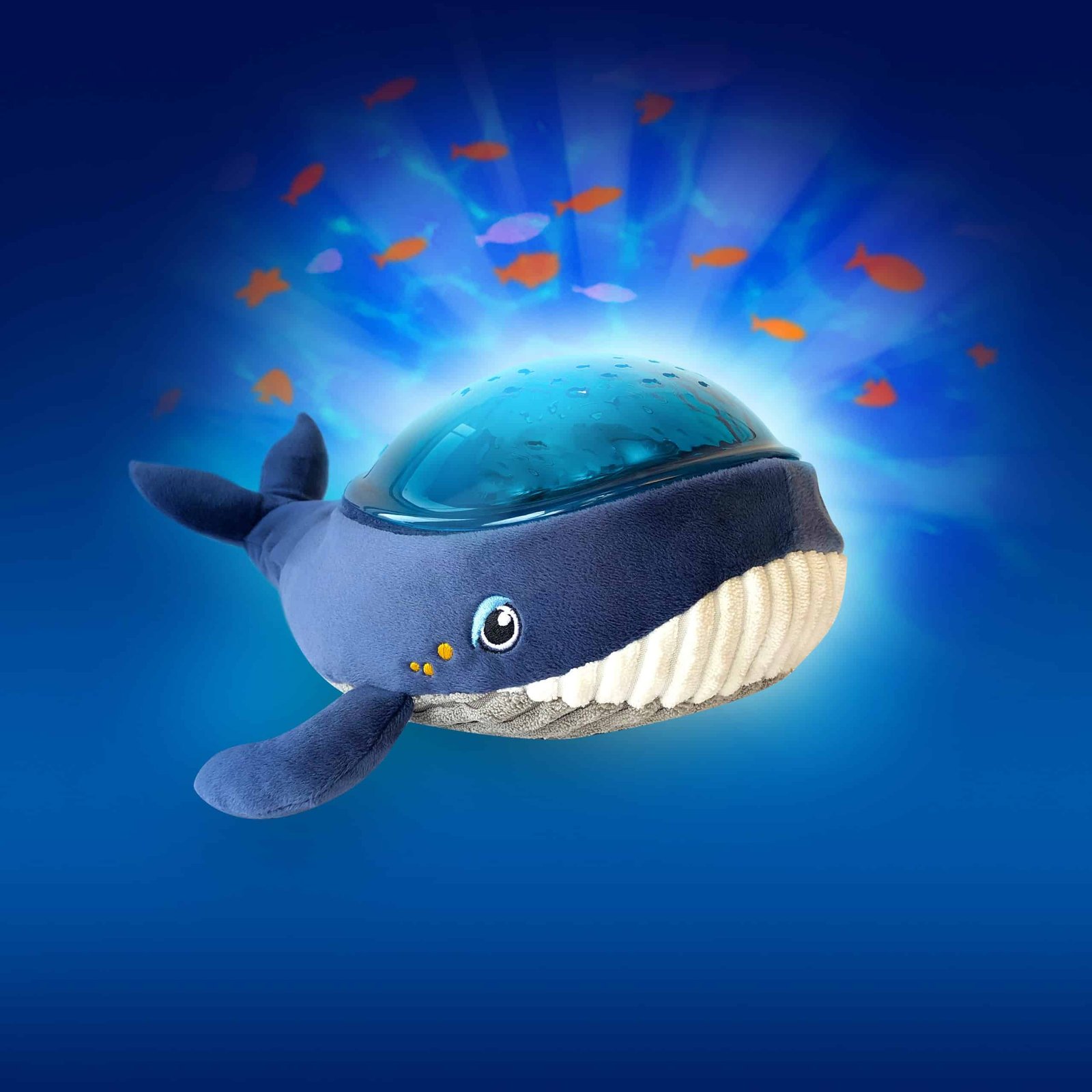 Baleine Lumineuse avec Jet d'eau – Miso Maroc