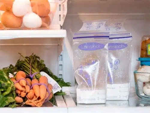 Lansinoh Sachets de conservation du lait maternel 50 pièces - Babyboom Shop